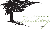 Skillful Teaching